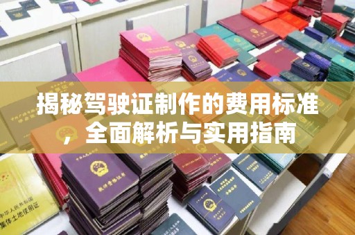 台南揭秘驾驶证制作的费用标准，全面解析与实用指南